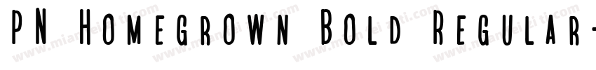 PN Homegrown Bold Regular字体转换